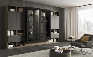 Композиция из модулей  TUMIDEI 278