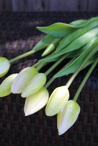 2942 708 a3 Букет тюльпанов из шелка, 7-кратный, 44 см, real touch, бело-зеленый H-andreas