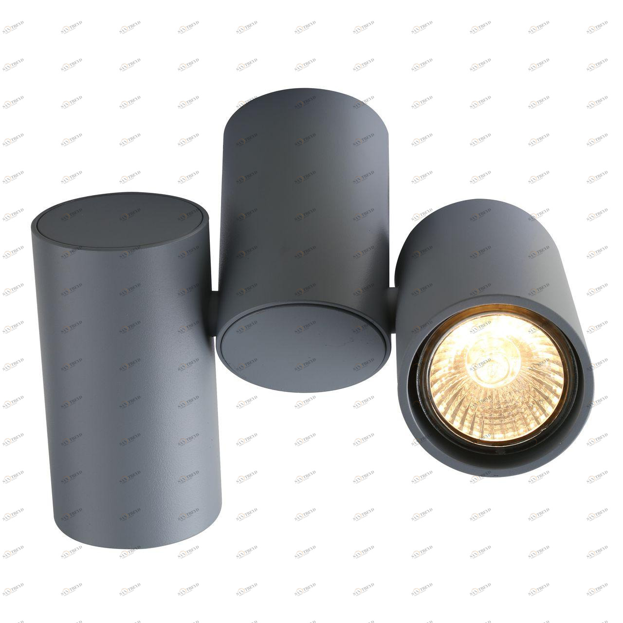 Потолочный светильник Divinare Gavroche 1354/05 PL-2 DIVINARE GAVROCHE 103089 Серый 