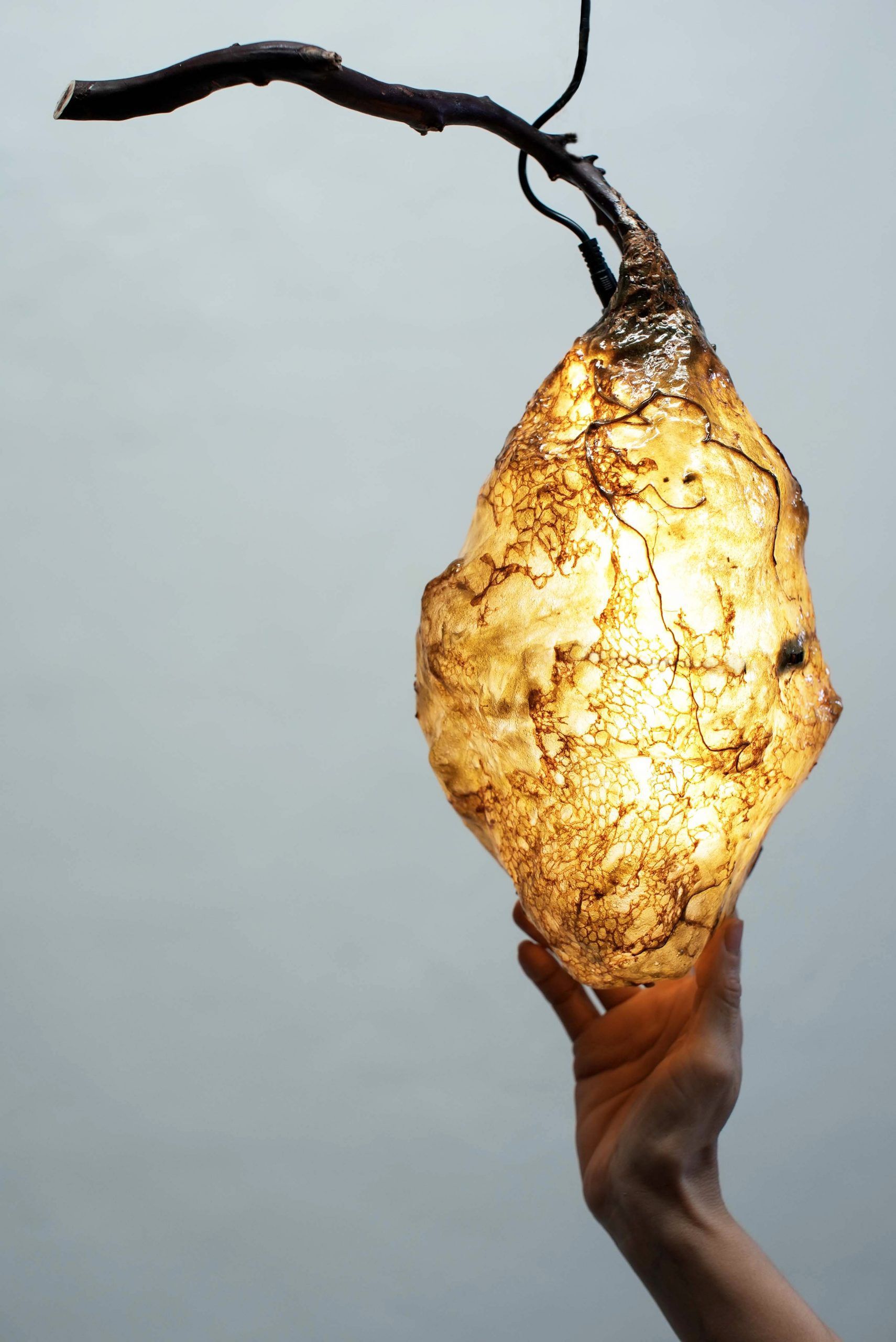 Яркая скульптура LO Contemporary THE HIVE II ARCH-00053958 - Вид №1