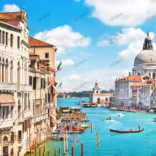 A1-031 Фотообои DIVINO Collection A 2.7х3 м A1031