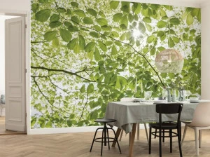 Komar Флизелиновые обои с цветочными мотивами Wanderlust Shx5-045