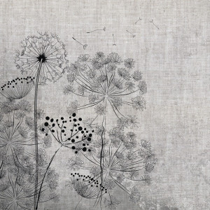 1138/CX38 Картина 1435 Adriani e Rossi