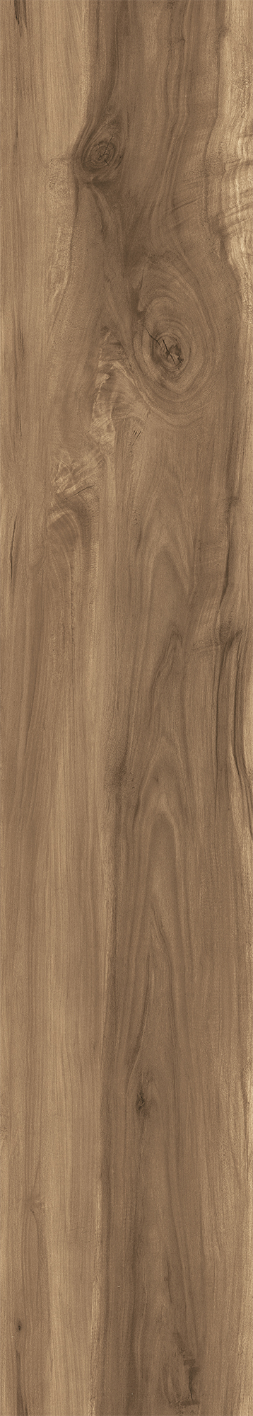 Керамогранит FOSSIL WOOD WENGE 20х120 Creanza CW-RT10-B - Вид №11
