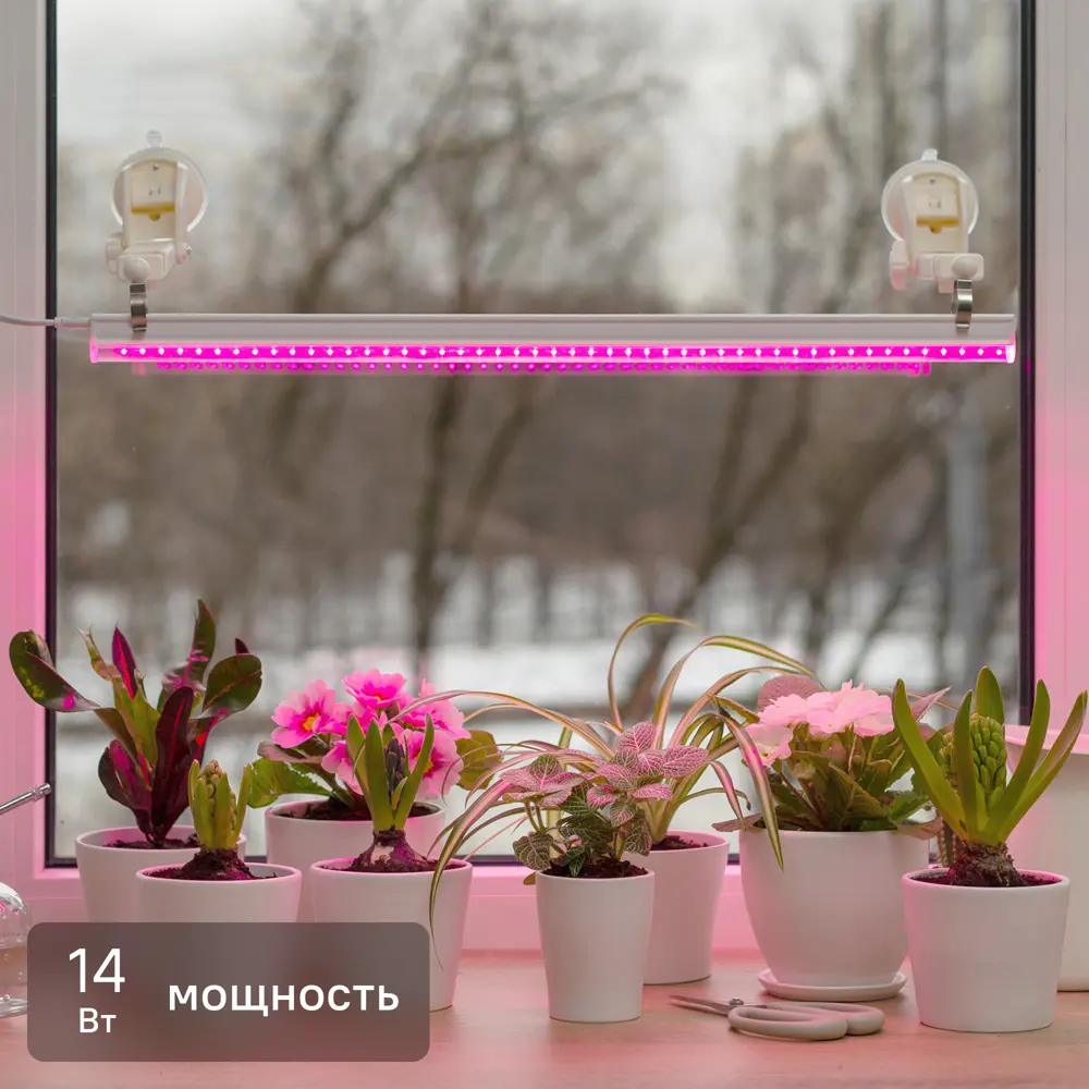 Фитосветильник линейный светодиодный Ritter Planta 56297 9 14Вт 880мм провод 2м с выключателем на корпусе цвет белый STLM-2048441