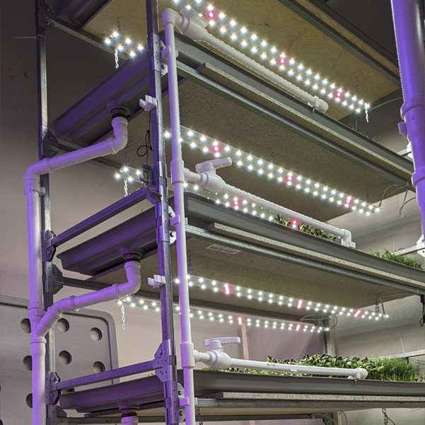 3553 Комплект Quantum line 115 см LAB.Space  - Вид №10