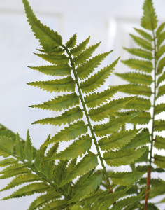 4917 883 a3 Имитация куста папоротника, 44 см, зеленая H-andreas