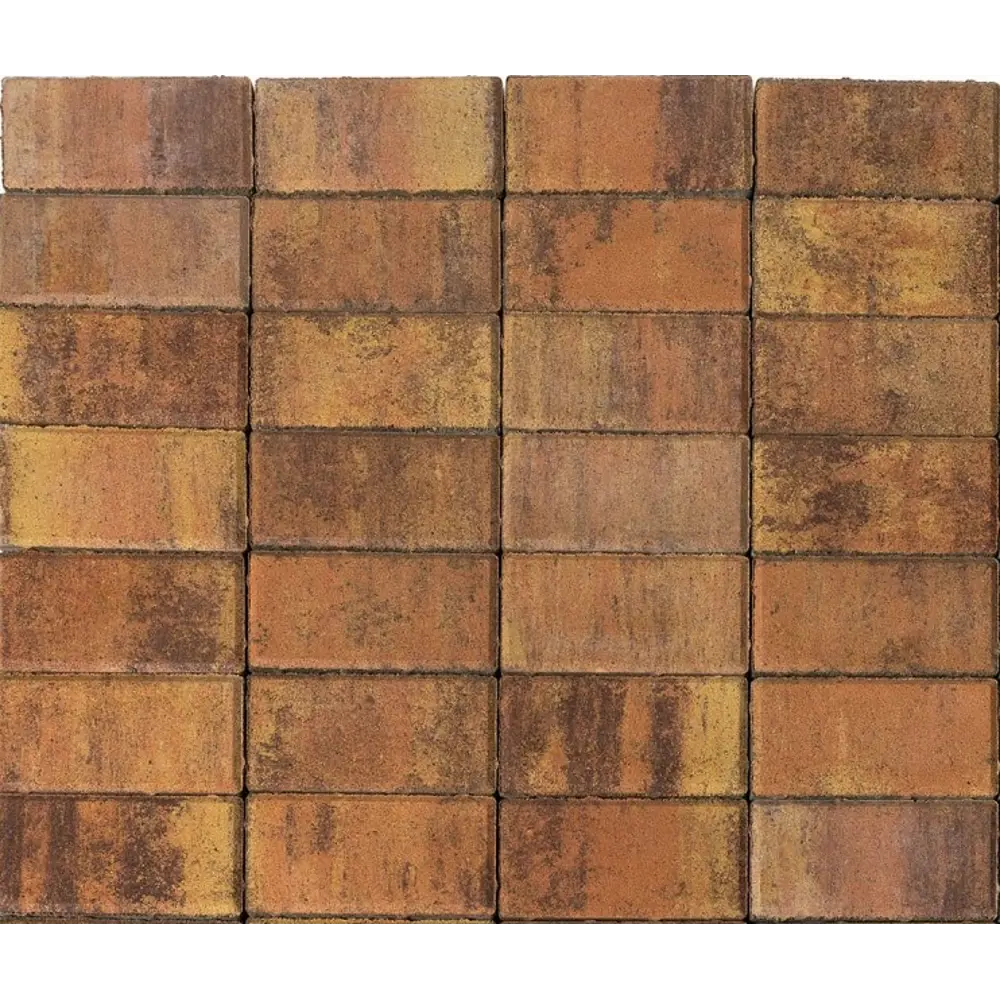 Тротуарная плитка BRAER Прямоугольник 200x100 мм - Природная эстетика для садовых дорожек 82770034 STLM-0035754 - Вид №2