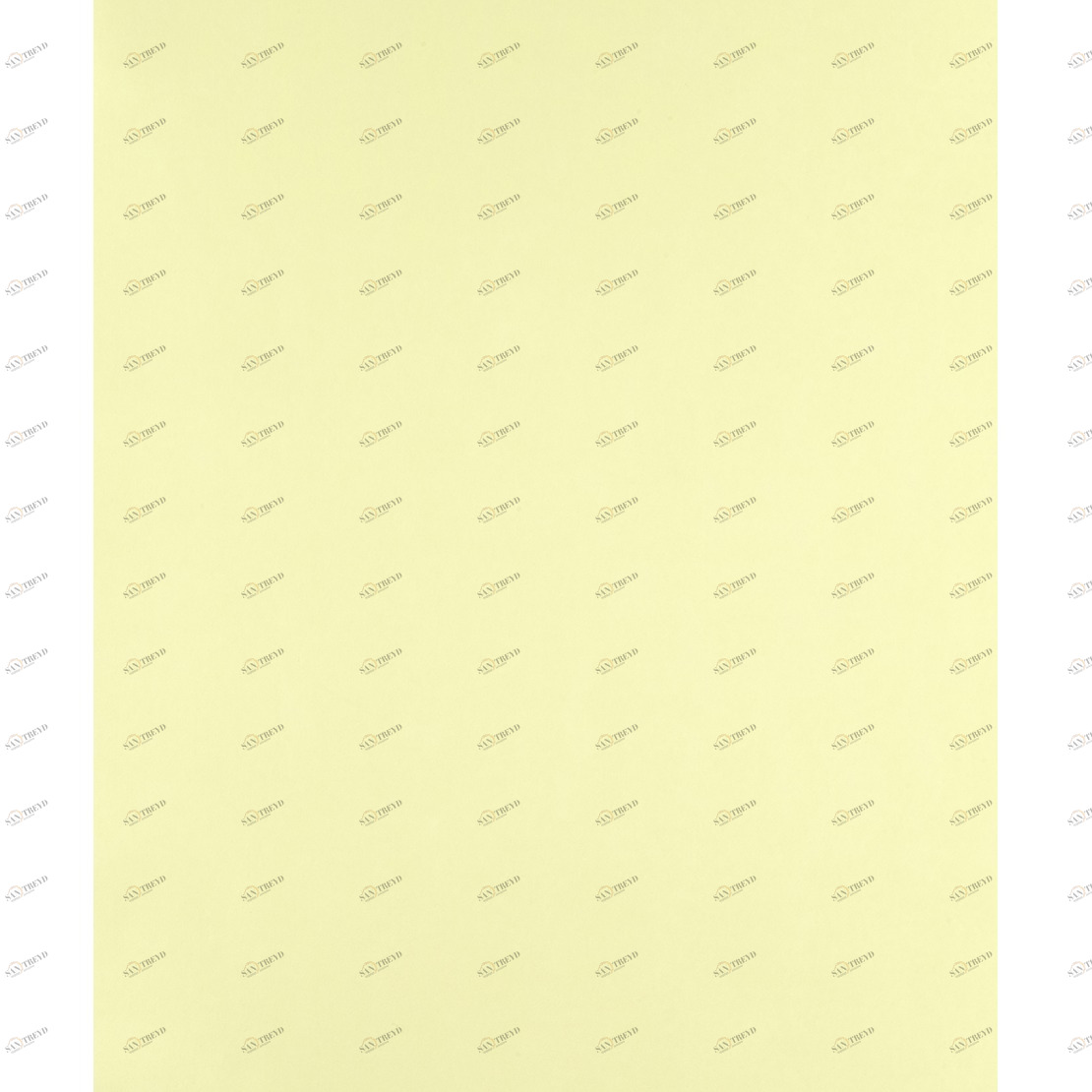 Рулон обоев ALICE & PAUL AEP12997121. Основа Casadeco