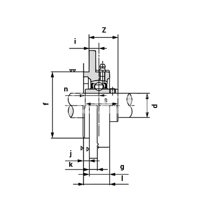 IS2011 Подшипниковый узел UCFC205 ISKRA  - Вид №2