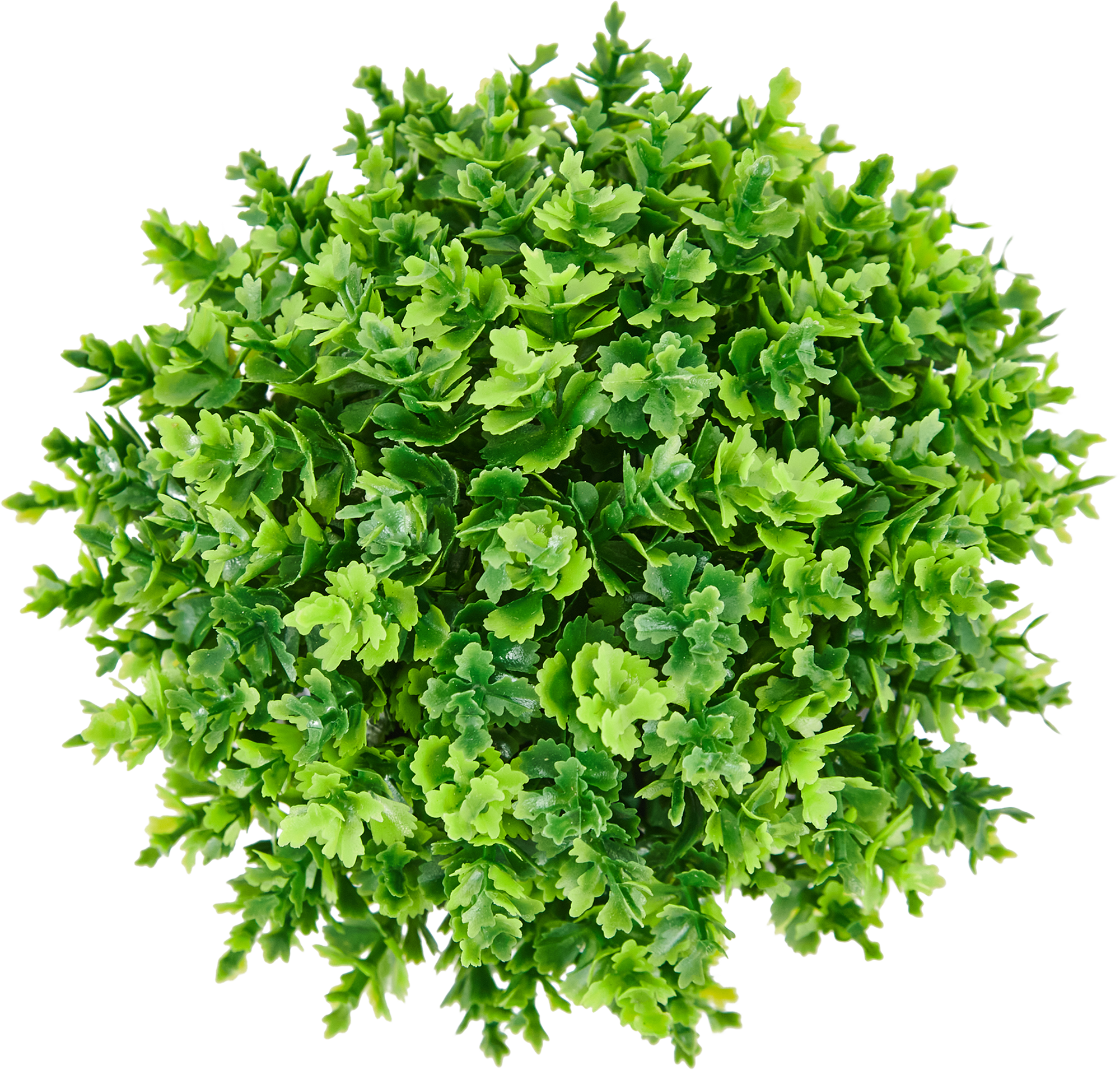 85826006 Искусственное растение Самшит мелколистный h13 см STLM-0065528 Santreyd  - Вид №1