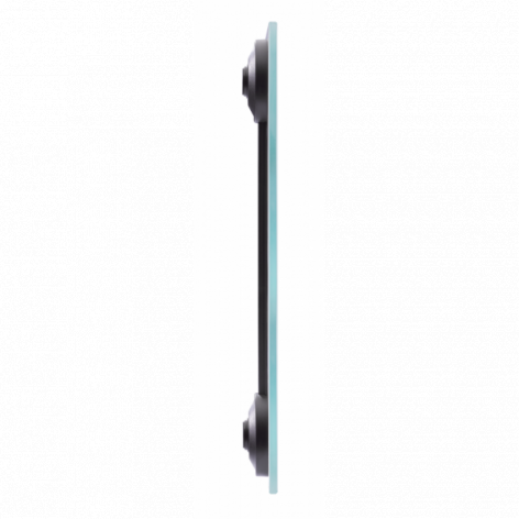 PP1144V0 Весы / электронные, 160 кг Tefal Santreyd  - Вид №2