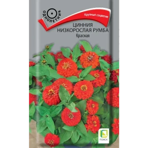 Цинния Румба Красная от ПОИСК - яркие махровые соцветия для сада 89402700