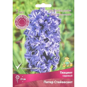 Гиацинт Питер Стайвесант от ПОИСК - фиолетовое великолепие в саду, 3 луковицы 85204916
