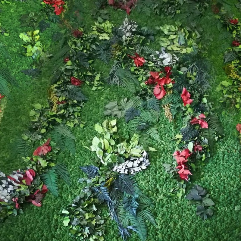 VER0005 Лишайник с листьями Adriani e Rossi  - Вид №1