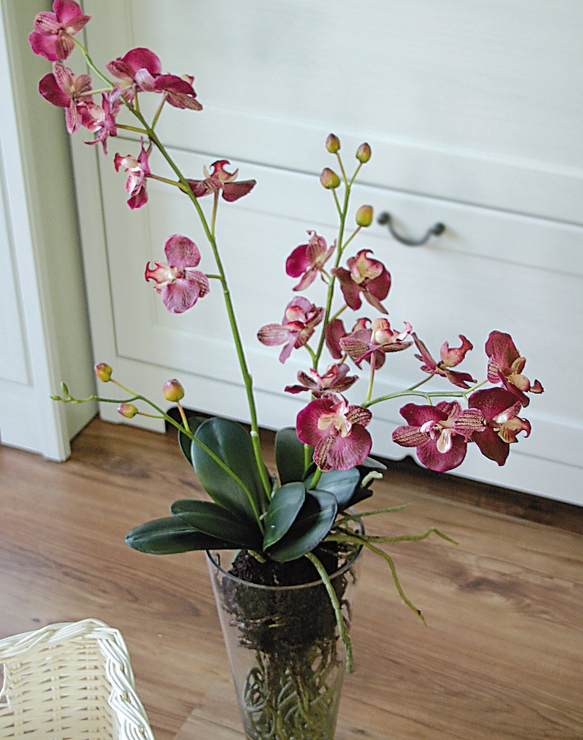 2579 420 a2 Пластиковая орхидея Phalaenopsis, ваза с водой, 80 см, real touch, вишня H-andreas  - Вид №5