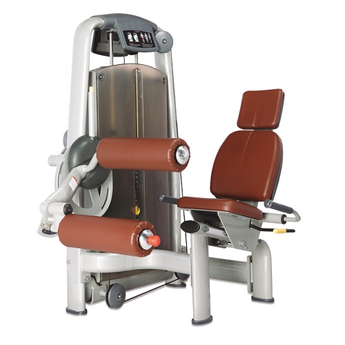 A9-013 Bronze gym a9-013 сгибание ног сидя Bronze Gym A серия 