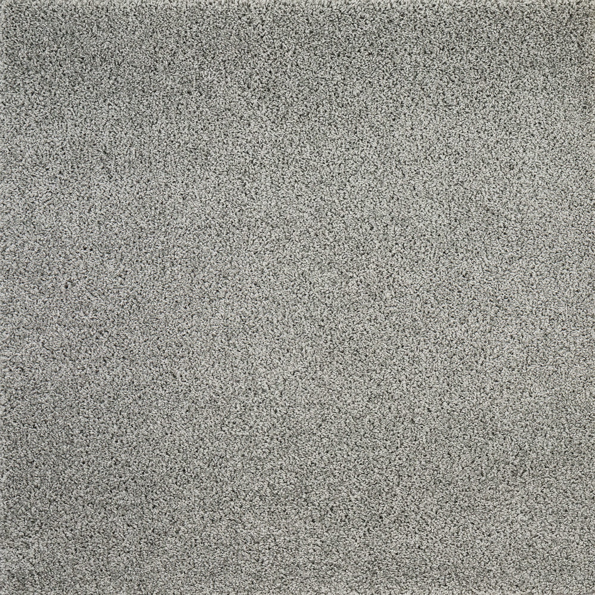 82438041 Ковровое покрытие «Шегги Фьюжн» 80202-49022 2.5 м, цвет серый Santreyd 