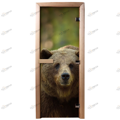 DoorWood Дверь с фотопечатью А065 5549