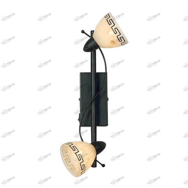 Спот потолочный черный Globo Roma 5684-2 GLOBO ROMA 00-3926129 Черный Ceramica Globo