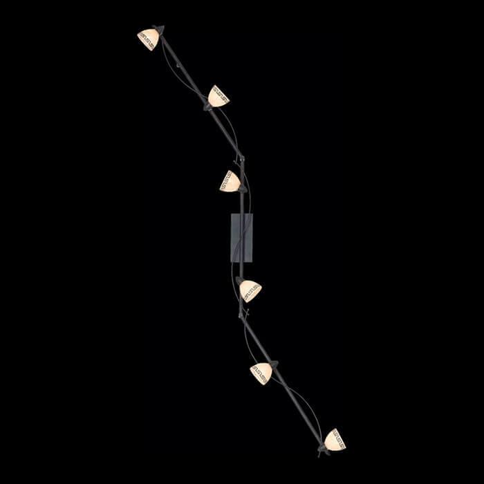 Спот потолочный галогеновый на 6 ламп графит Roma 5684-6 GLOBO ROMA 00-3891048 Черный Ceramica Globo - Вид №1