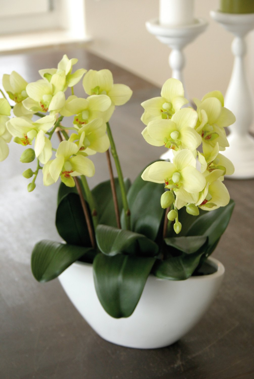 2609 788 a3 Искусственная орхидея Фаленопсис, кремово-зеленая H-andreas  - Вид №4
