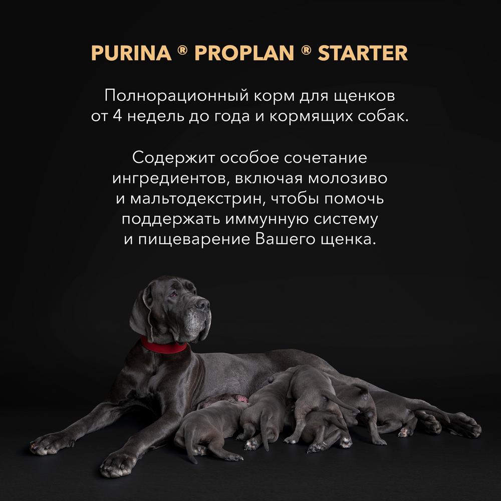 ПР0059704 Корм для щенков Starter для средних и мелких пород, курица сух. 12кг Pro Plan  - Вид №1