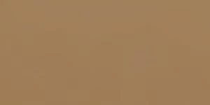 SERENA  30х60 BROWN 120 POLISHED