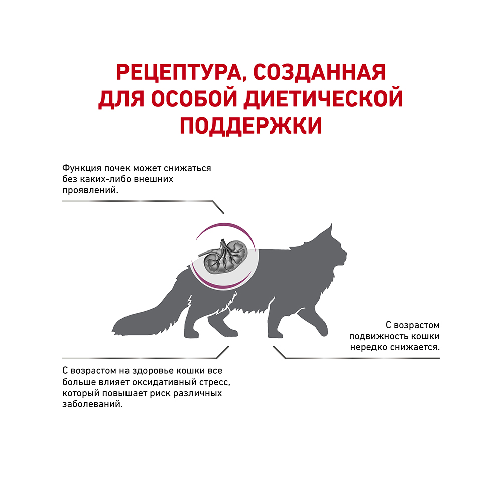 ПР0056145 Корм для кошек Vet Diet Early Renal при ранней стадии почечной недостаточности сух. 1,5кг ROYAL CANIN  - Вид №2