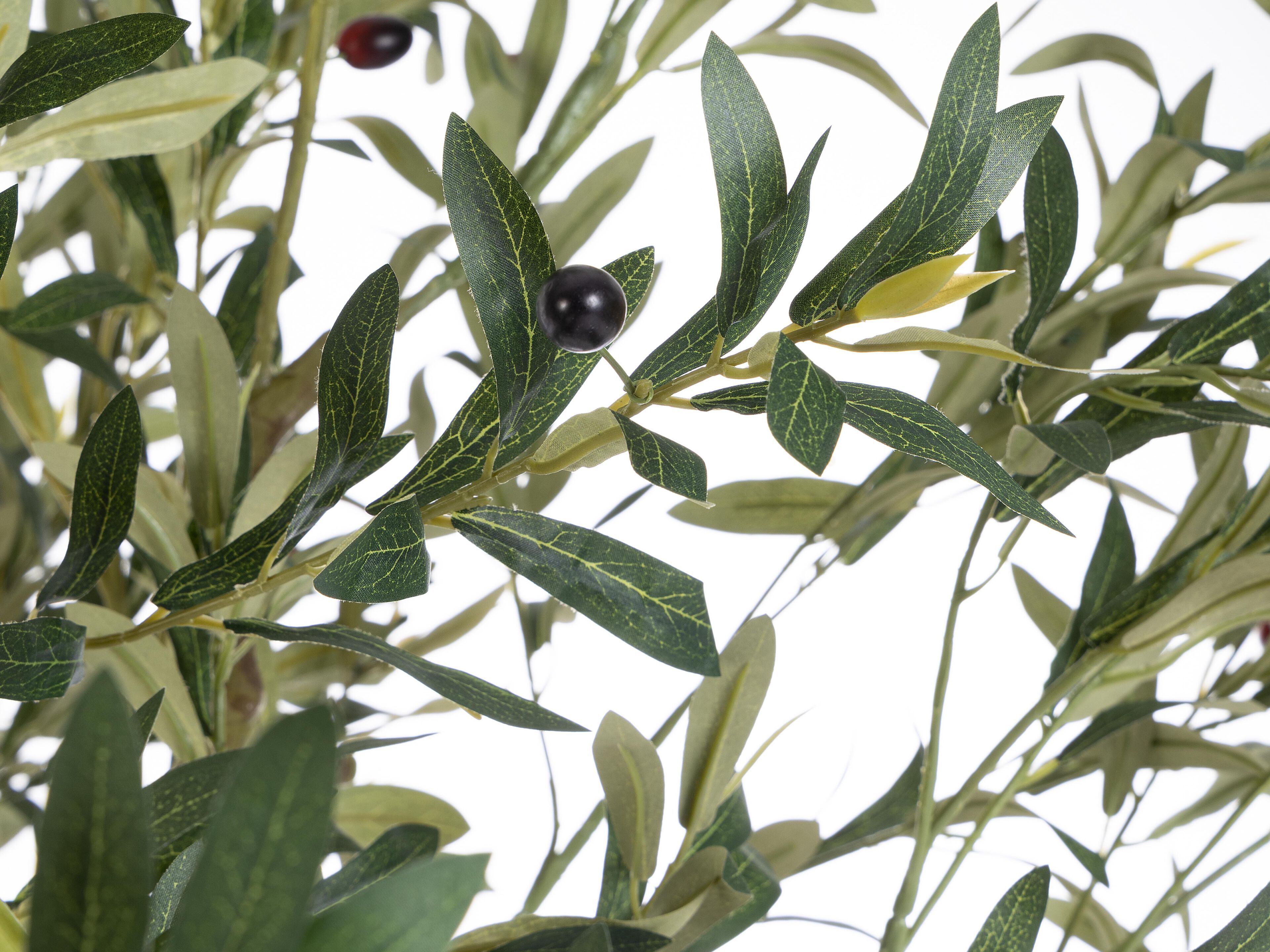 Искусственное растение BIZZOTTO ULIVO H210 ARCH-00038700 - Вид №1