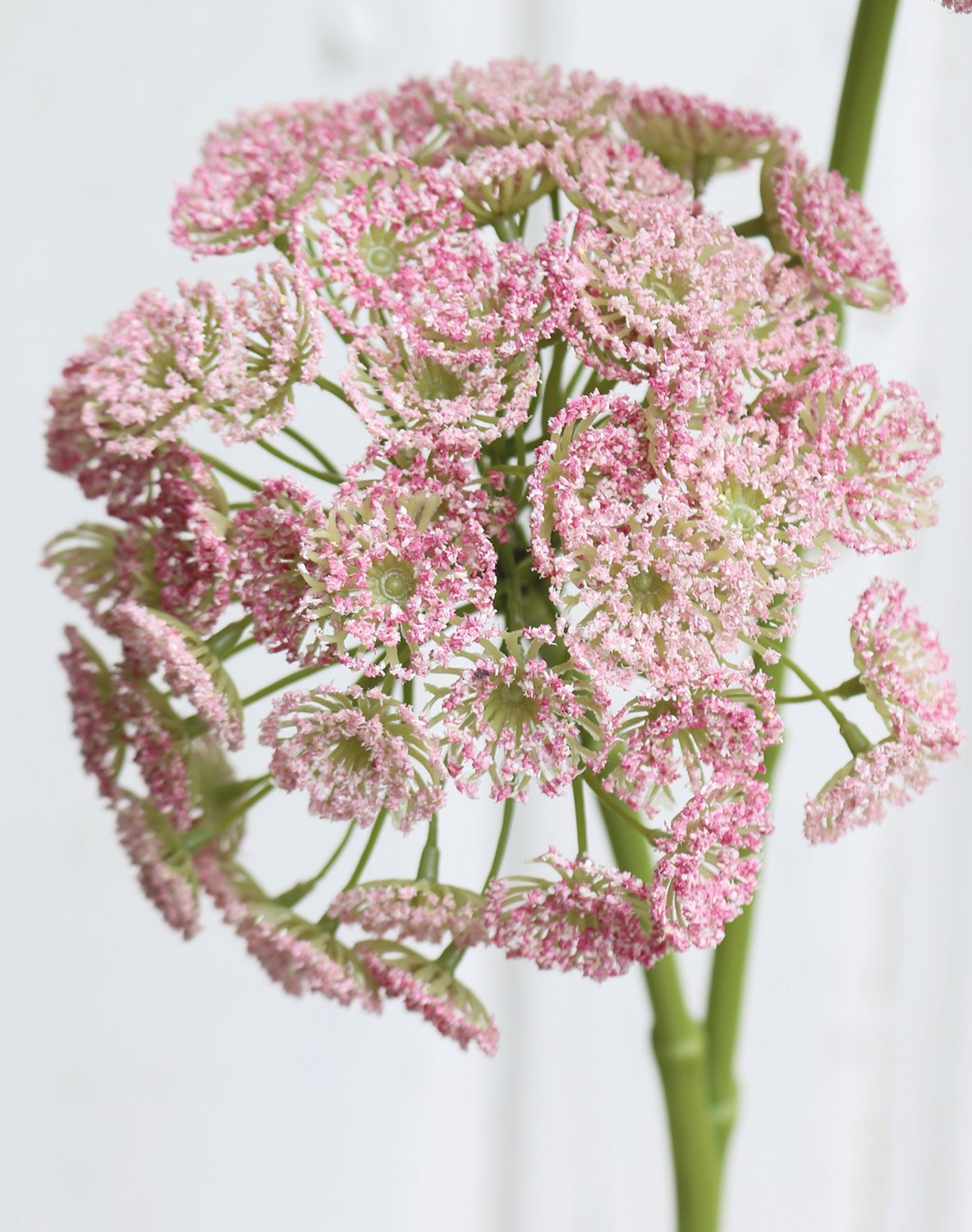 3305 510 a3 Искусственная дикая морковь, 83 см, розовая H-andreas  - Вид №5