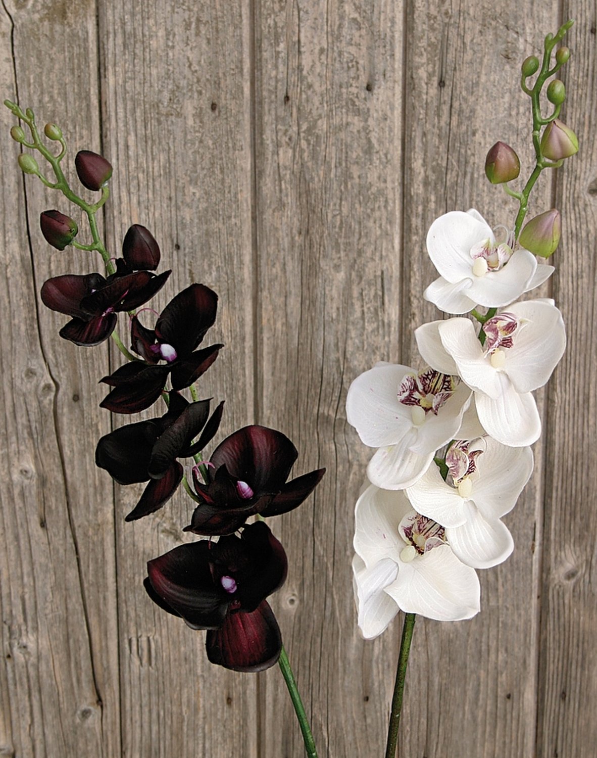 2398 299 a2 Пластиковая орхидея Phalaenopsis, 92 см, real touch, антично-темно-фиолетовый H-andreas  - Вид №1