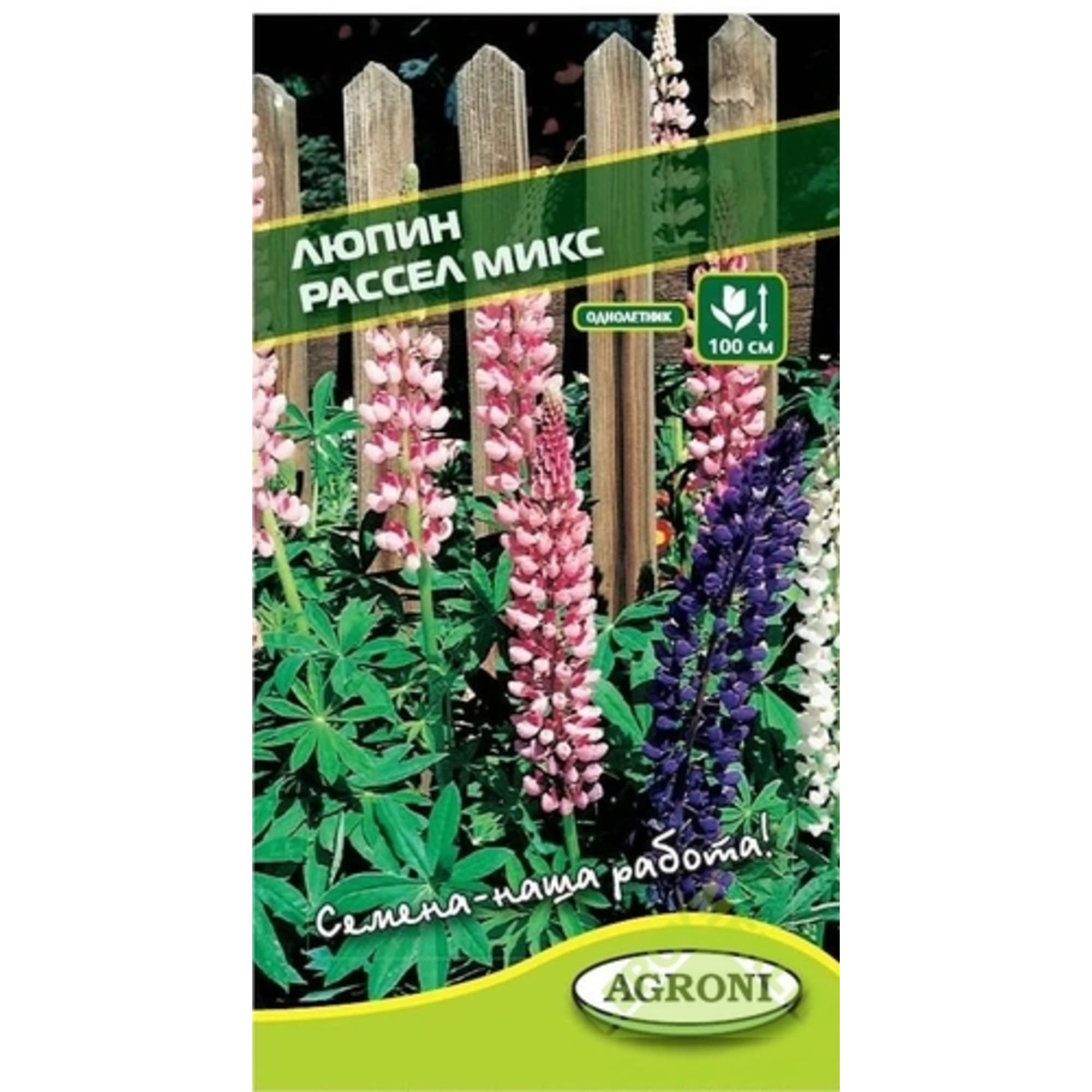 13067351 Люпин «Рассел» микс Santreyd 