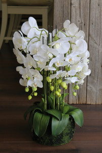 2861 777 a3 Пластиковая орхидея Phalaenopsis с 'почвой', 9-кратная, 70 см, real touch, белая H-andreas