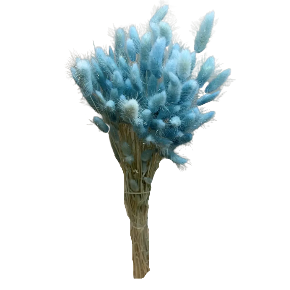 Букет из сухих цветов Лагурус микс 2 70 см Santreyd STLM-2185331 - Вид №6