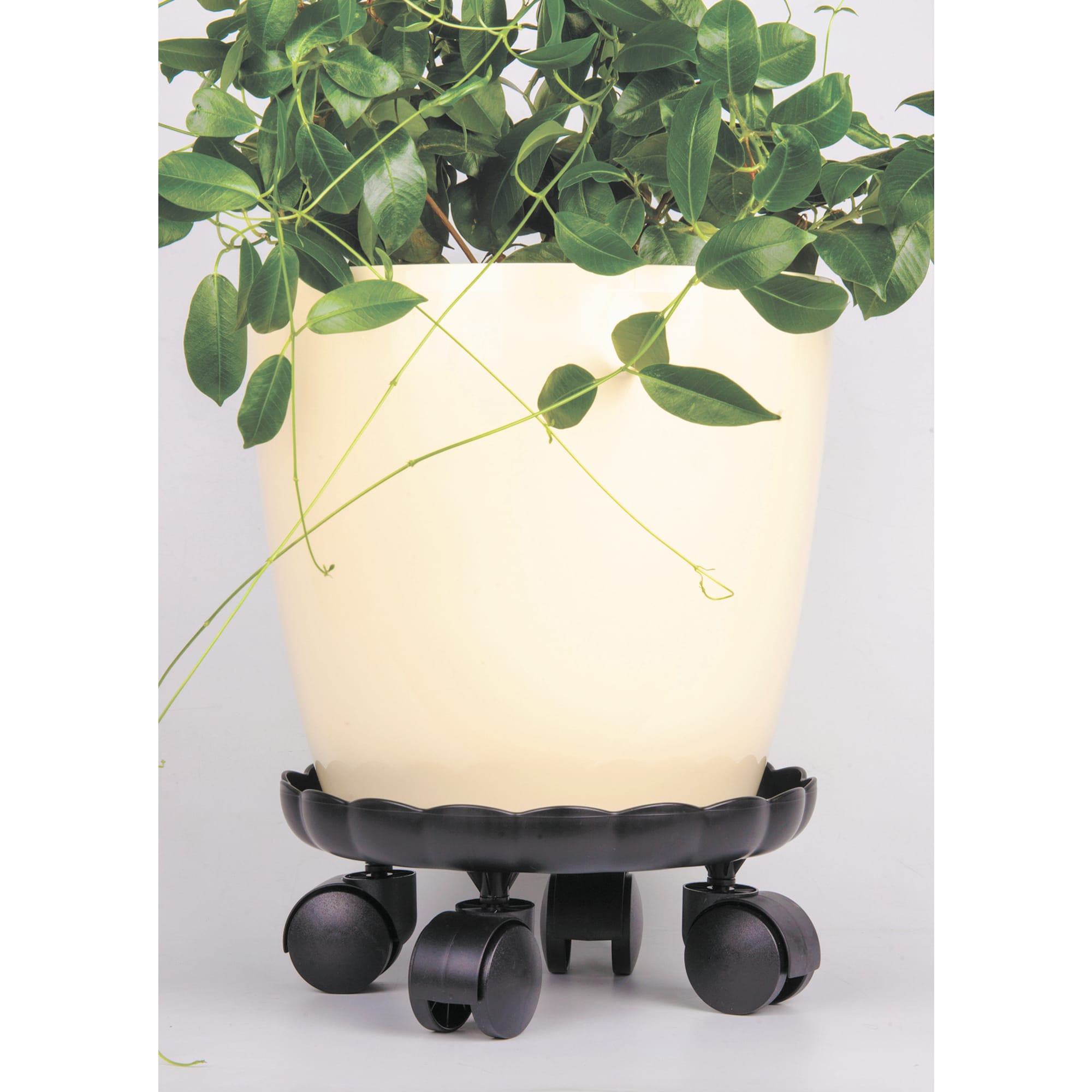 89082012 Подставка на колесиках для кашпо ø21 см пластик Santreyd  - Вид №1