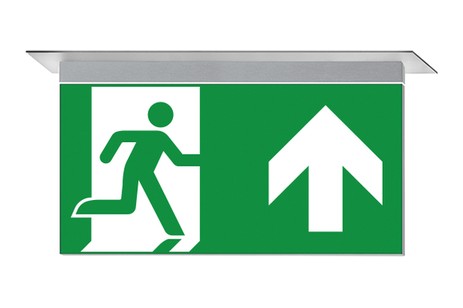 DST-1588 Ikus 320-m Daisalux Светильники сигнальные Серебристо-Серый 