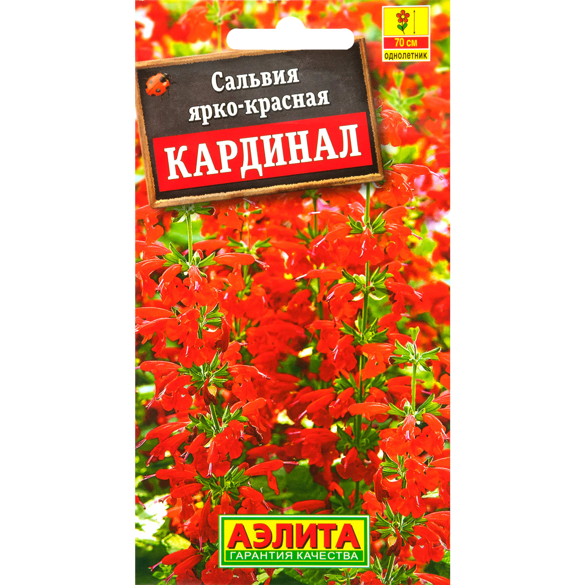 83495463 Семена Сальвия «Кардинал» Santreyd 