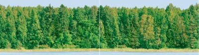 Decor Forest Panno 25x90 Ceradim sun-id-311930