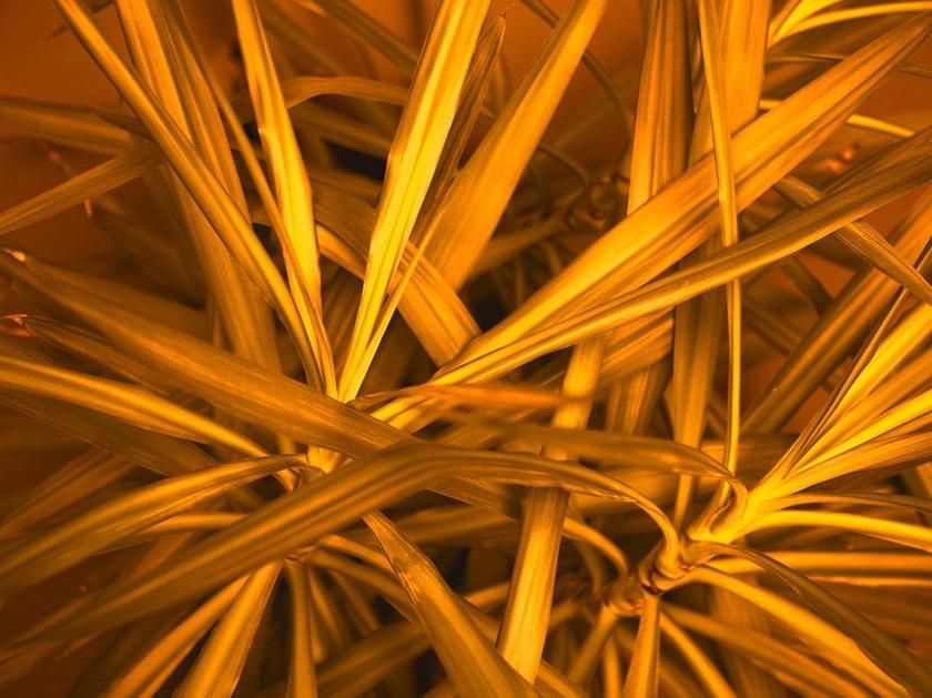 Architects Paper Обои с цифровой печатью Ap digital iv 109150 - Вид №2