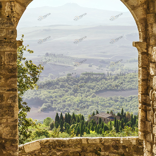 B2-005 Фотообои DIVINO Collection B 2.7х2 м B2005