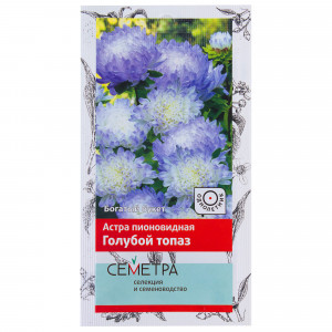 18359100 Астра пионовидная «Голубой топаз»
