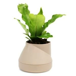 Горшок цветочный Hill Pot, маленький, кремовый