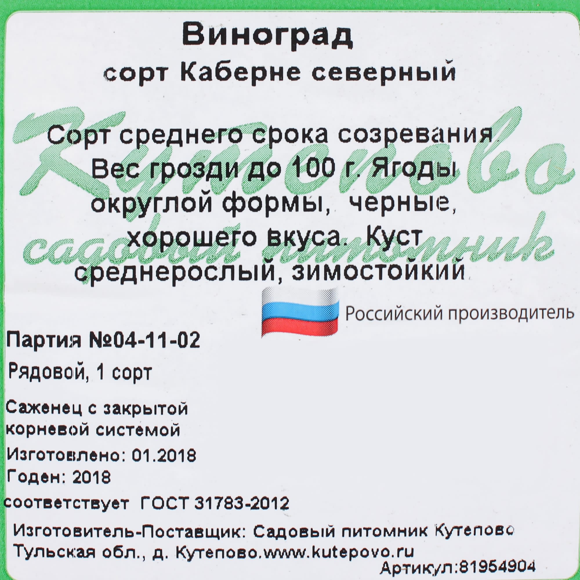 81954904 Виноград плодовый С2 «Каберне северный» h50 Santreyd  - Вид №2