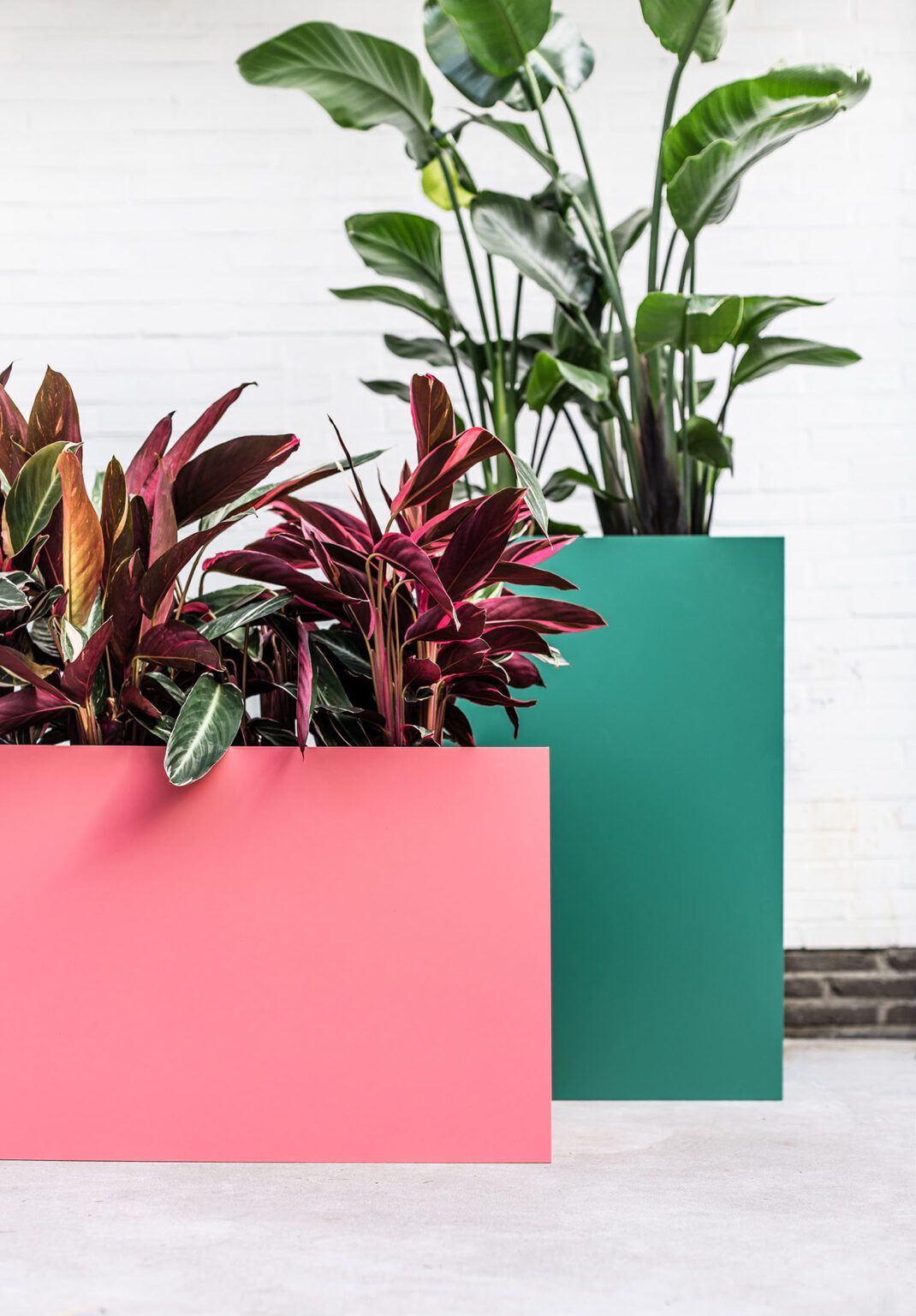 Высокая алюминиевая сеялка с порошковым покрытием SIXINCH PLANTER ARCH-00090881 - Вид №16