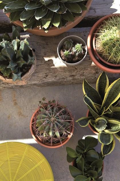 GAN Стул с низким содержанием железа Aram sun-id-1364681 - Вид №4