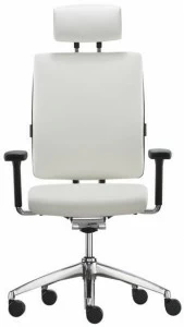 Brunner Офисный стул 5 спиц с подлокотниками Too