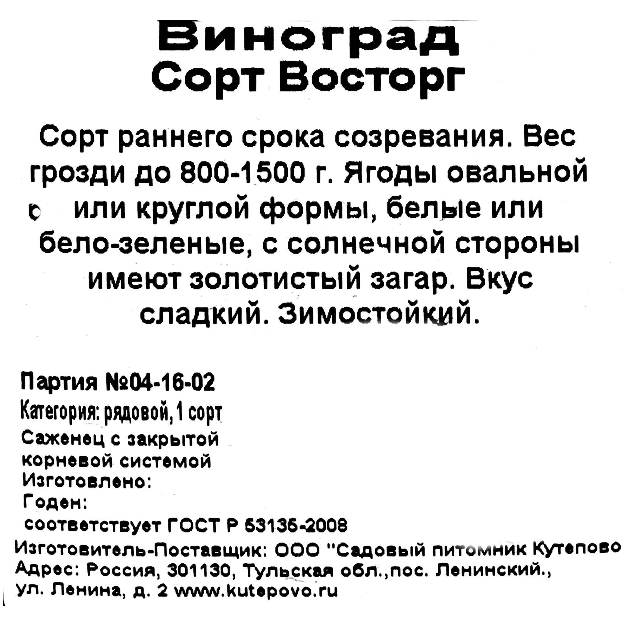82596929 Виноград плодовый «Восторг» C2 высота 50 см Santreyd  - Вид №1