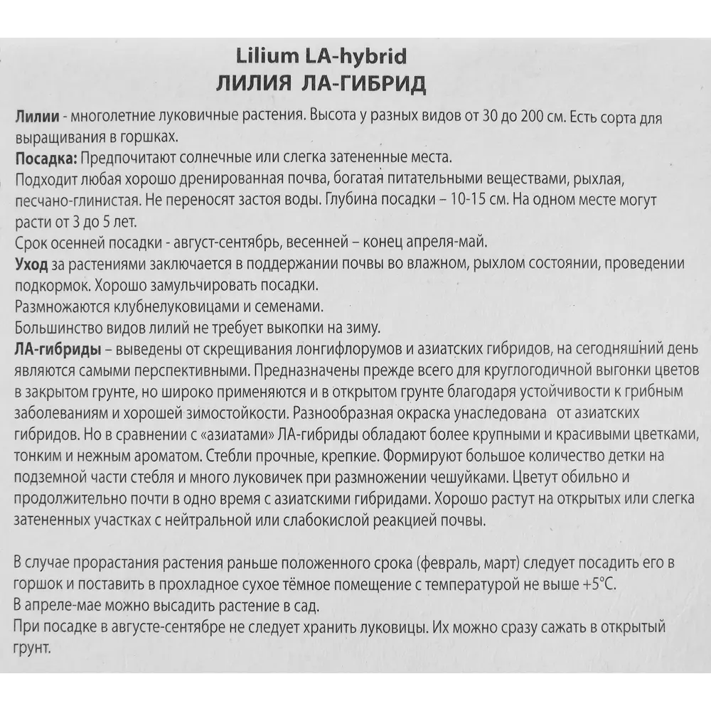 Лилия ла-гибрид Коларес 85205743 STLM-2003435 ПОИСК  - Вид №2