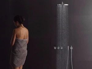 VOLA Смеситель для душа с ручным душем и насадкой для душа